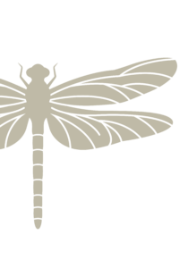 Libelle_02