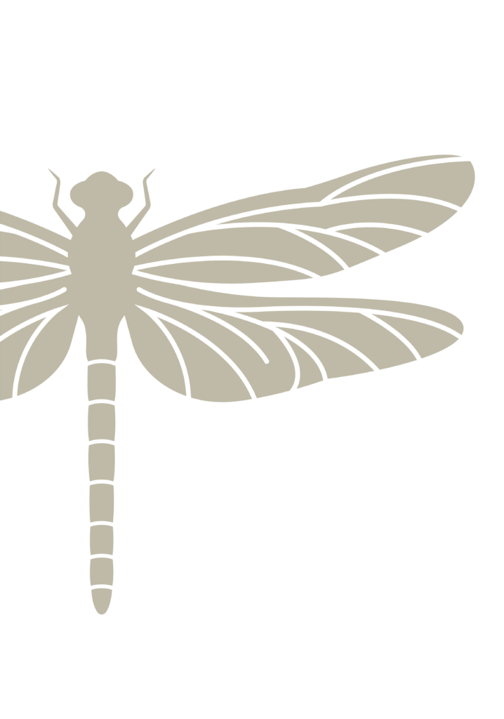 Libelle_02