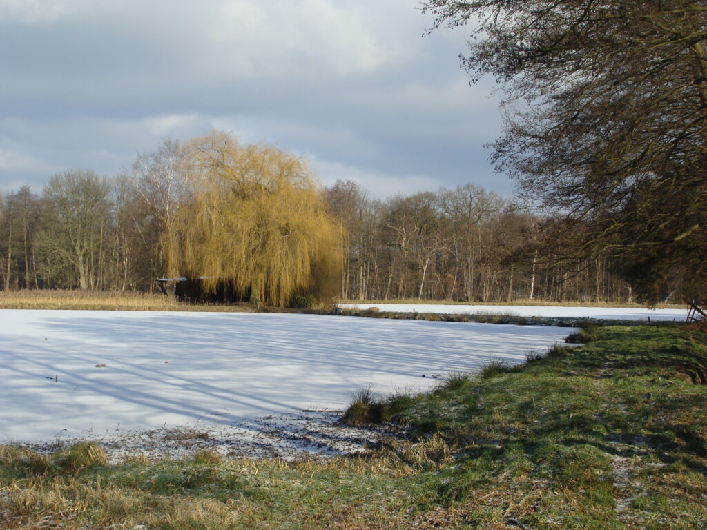 Blenh. Teiche im Winter 2
