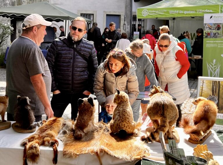 Wildkatze&Co mit Gelu Ispas